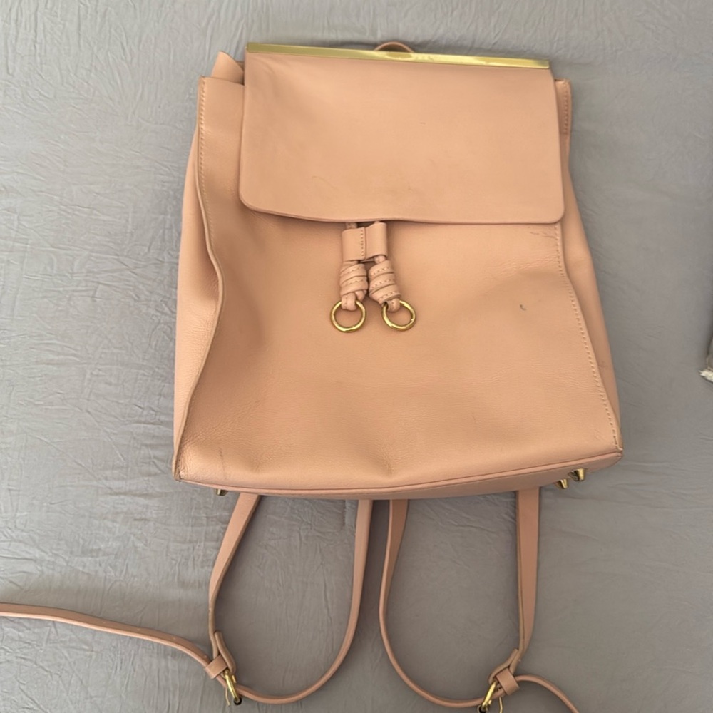 Zara light pink back pack with gold detail